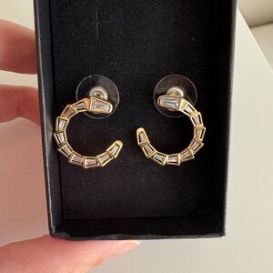 Elegant Gold and Silver Hoop Earrings